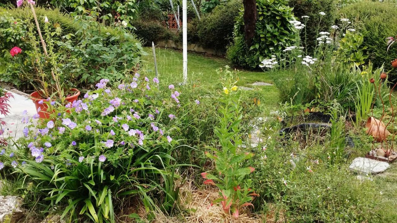 Hillside View Apartment Plentzia Bagian luar foto
